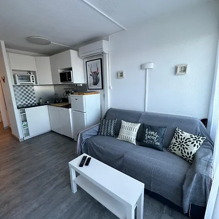 Studio Vue Port, Parking Prive, Terrasse, Clim Le Grau-du-Roi Buitenkant foto